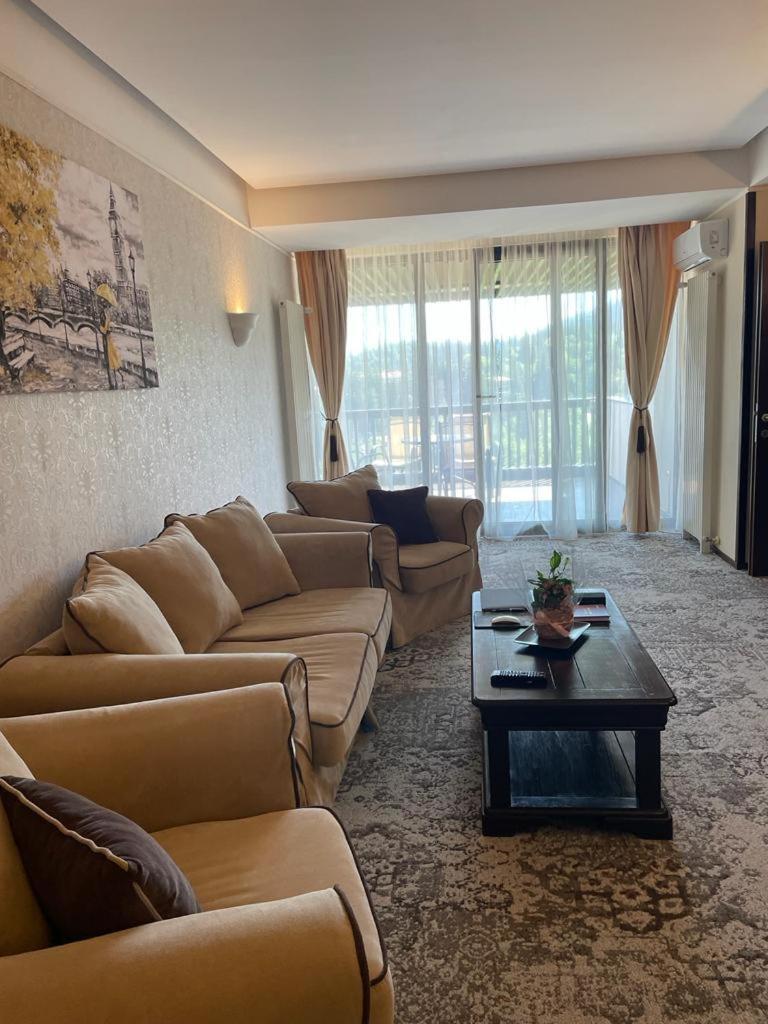 Apartament Executive Vedere Munte Alpin Resort بويانا براسوف المظهر الخارجي الصورة