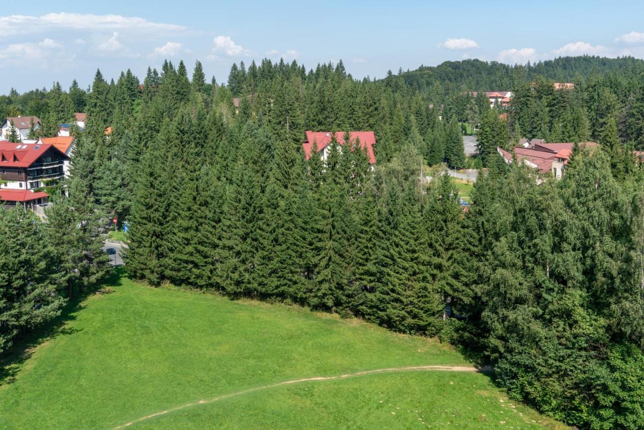 Apartament Executive Vedere Munte Alpin Resort بويانا براسوف المظهر الخارجي الصورة